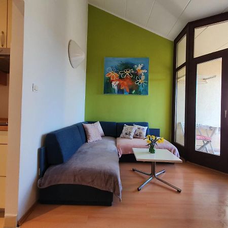 Janja Apartment Novigrad Istria Extérieur photo