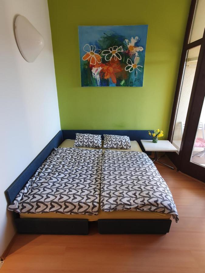 Janja Apartment Novigrad Istria Extérieur photo